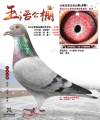 图片暂时未上传