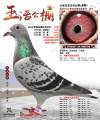 图片暂时未上传