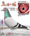 图片暂时未上传