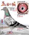 图片暂时未上传