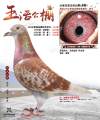 图片暂时未上传
