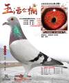 图片暂时未上传