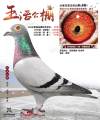 图片暂时未上传
