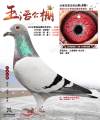 图片暂时未上传