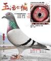 图片暂时未上传