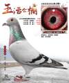 图片暂时未上传