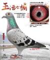 图片暂时未上传
