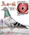 图片暂时未上传