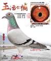 图片暂时未上传