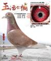 图片暂时未上传