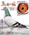 图片暂时未上传