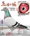 图片暂时未上传