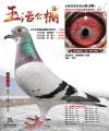图片暂时未上传