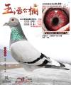 图片暂时未上传