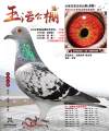 图片暂时未上传