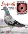 图片暂时未上传