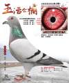 图片暂时未上传
