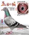 图片暂时未上传