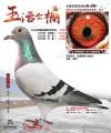图片暂时未上传