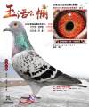 图片暂时未上传