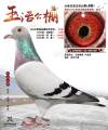 图片暂时未上传