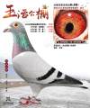 图片暂时未上传