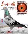 图片暂时未上传