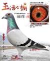 图片暂时未上传