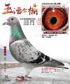 图片暂时未上传