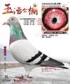 图片暂时未上传