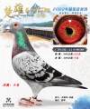 图片暂时未上传