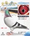 图片暂时未上传