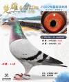 图片暂时未上传