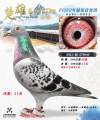 图片暂时未上传