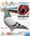 图片暂时未上传