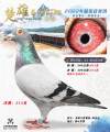 图片暂时未上传