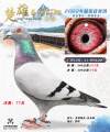 图片暂时未上传
