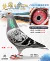 图片暂时未上传