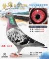 图片暂时未上传