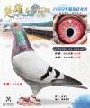 图片暂时未上传