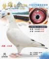 图片暂时未上传
