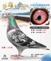图片暂时未上传
