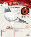图片暂时未上传
