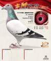 图片暂时未上传