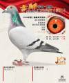 图片暂时未上传