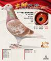 图片暂时未上传