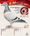 图片暂时未上传