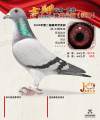 图片暂时未上传