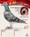 图片暂时未上传