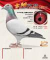 图片暂时未上传